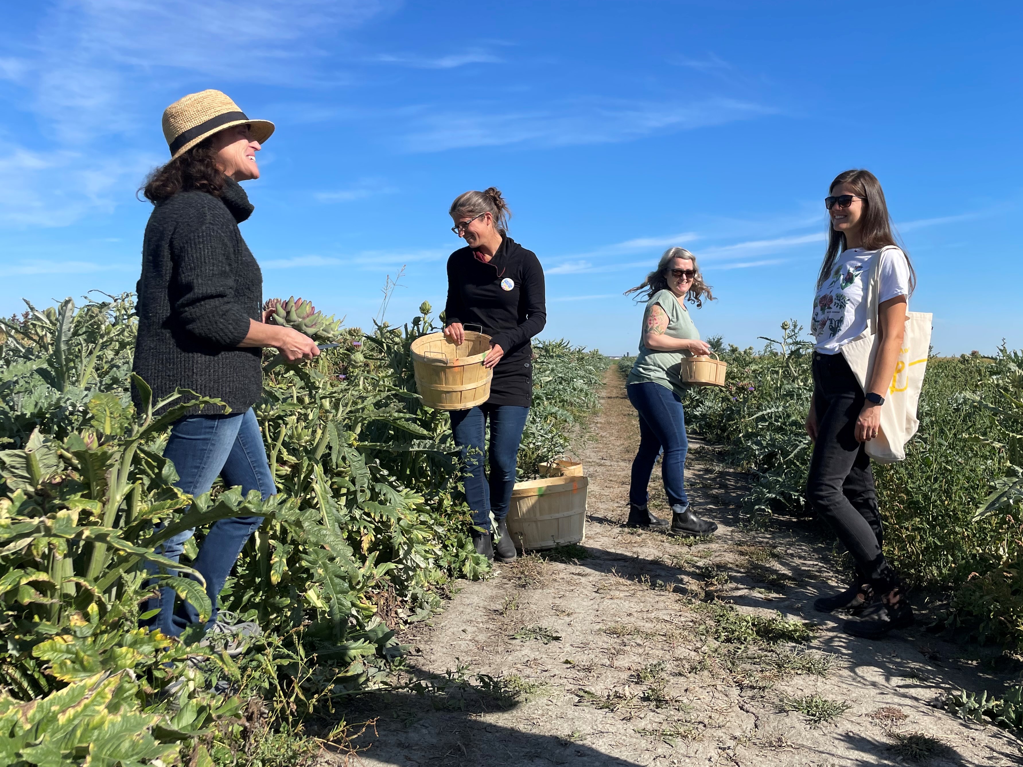 LIML2021_FermeFilleDuRoy_13