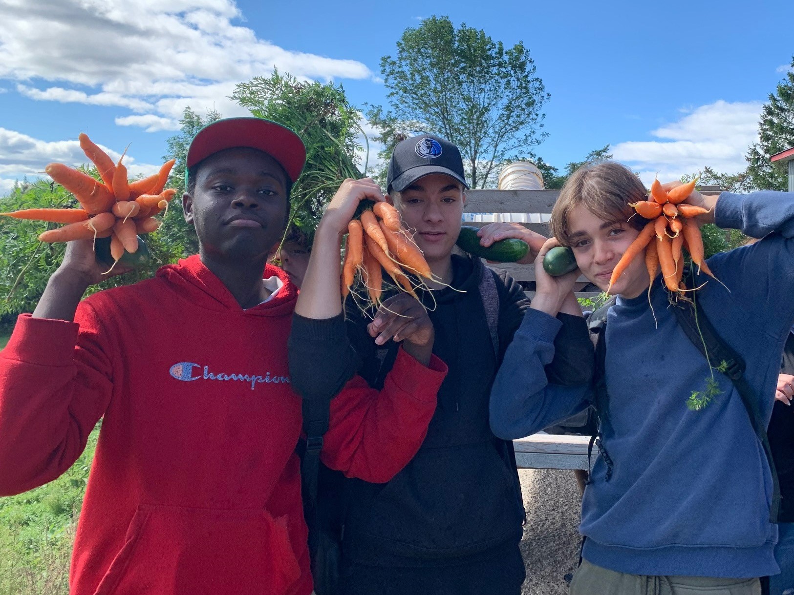 LIML2022_Ecole secondaire Joseph-François-Perrault_02_4-3